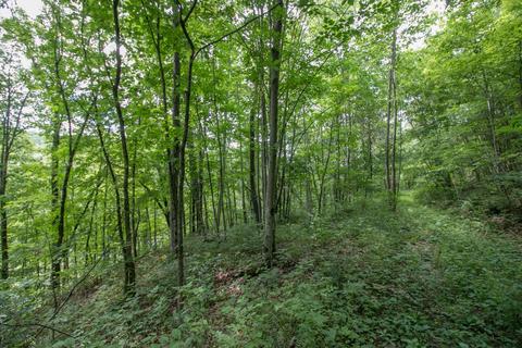 8640 Carr Bailey Rd, Millfield, OH 45761 photo 33
