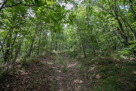 8640 Carr Bailey Rd, Millfield, OH 45761 photo 17