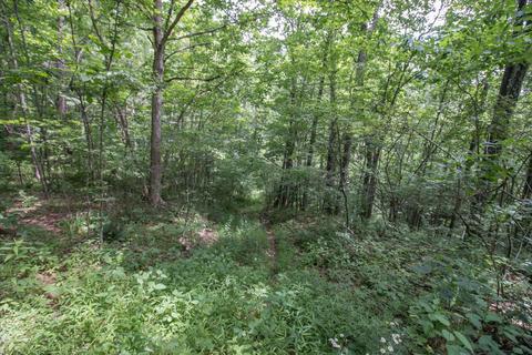 8640 Carr Bailey Rd, Millfield, OH 45761 photo 31