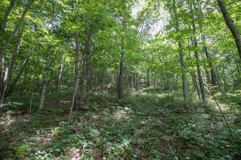 8640 Carr Bailey Rd, Millfield, OH 45761 photo 26