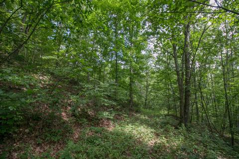 8640 Carr Bailey Rd, Millfield, OH 45761 photo 30