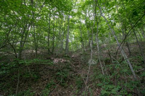 8640 Carr Bailey Rd, Millfield, OH 45761 photo 16