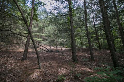 8640 Carr Bailey Rd, Millfield, OH 45761 photo 24