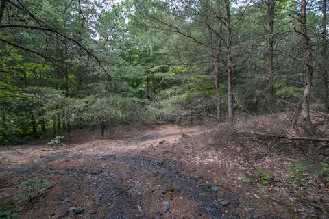 8640 Carr Bailey Rd, Millfield, OH 45761 photo 35