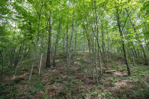 8640 Carr Bailey Rd, Millfield, OH 45761 photo 34