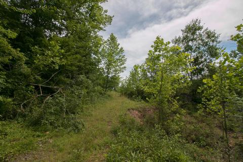 8640 Carr Bailey Rd, Millfield, OH 45761 photo 43