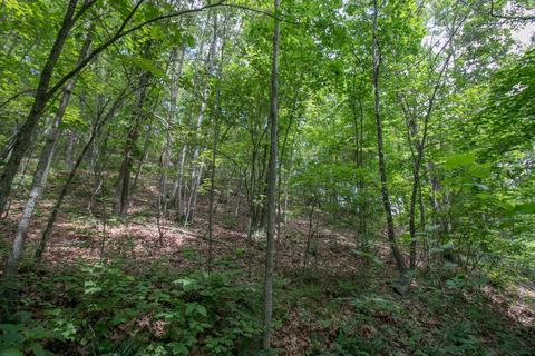8640 Carr Bailey Rd, Millfield, OH 45761 photo 29