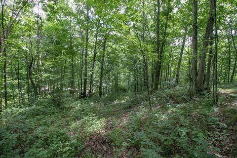 8640 Carr Bailey Rd, Millfield, OH 45761 photo 23