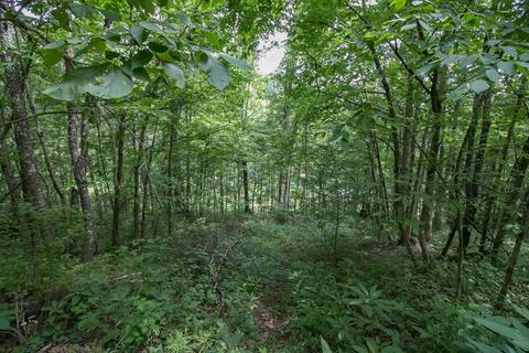 8640 Carr Bailey Rd, Millfield, OH 45761 photo 21