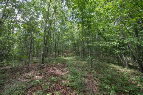 8640 Carr Bailey Rd, Millfield, OH 45761 photo 18