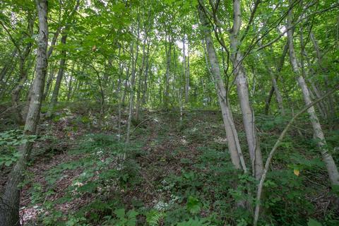 8640 Carr Bailey Rd, Millfield, OH 45761 photo 10