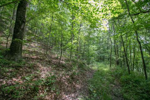 8640 Carr Bailey Rd, Millfield, OH 45761 photo 27
