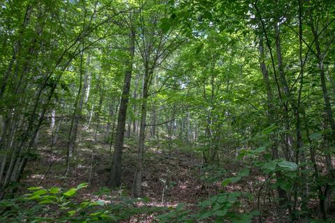 8640 Carr Bailey Rd, Millfield, OH 45761 photo 28