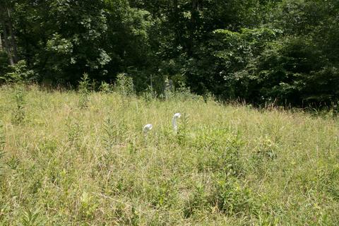 8640 Carr Bailey Rd, Millfield, OH 45761 photo 1