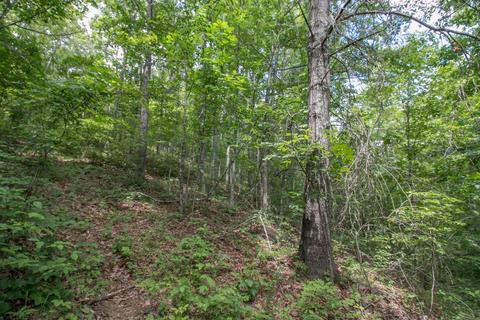 8640 Carr Bailey Rd, Millfield, OH 45761 photo 32