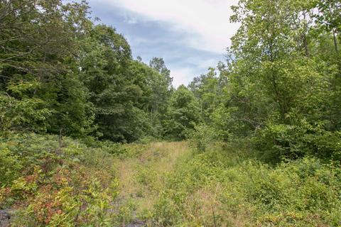 8640 Carr Bailey Rd, Millfield, OH 45761 photo 45