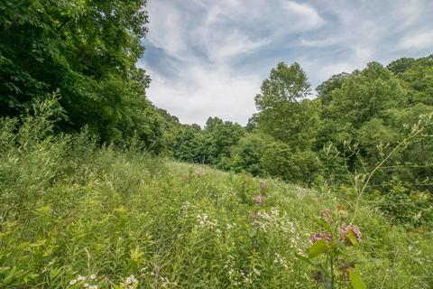 8640 Carr Bailey Rd, Millfield, OH 45761 photo 11
