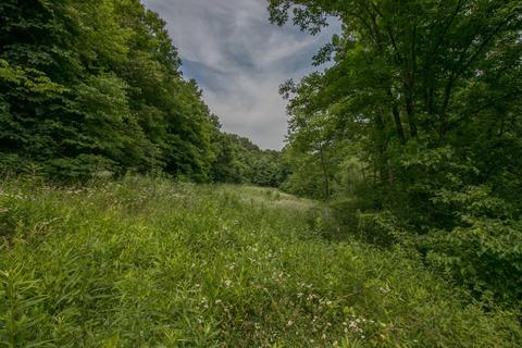 8640 Carr Bailey Rd, Millfield, OH 45761 photo 8