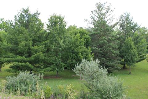 2100 Jacksonville Rd, Springfield, OH 45504 photo 43