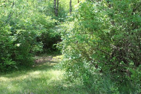 2100 Jacksonville Rd, Springfield, OH 45504 photo 41