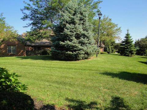 6690 Heatherstone Loop, Dublin, OH 43017 photo 23