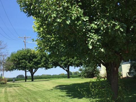 460 Dunkle Rd, Circleville, OH 43113 photo 3