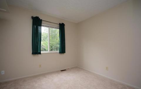 8734 Blessing Dr, Powell, OH 43065 photo 30