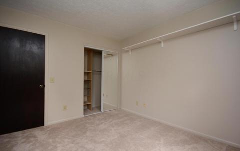 8734 Blessing Dr, Powell, OH 43065 photo 29