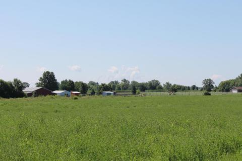 19669 State Route 104, Circleville, OH 43113 photo 61