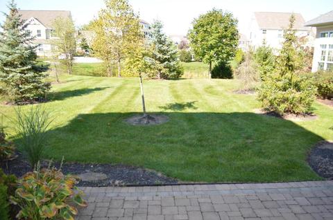 7833 Breen Cir, Dublin, OH 43016 photo 15