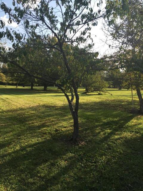 11871 Elder Ln, Lithopolis, OH 43136 photo 22