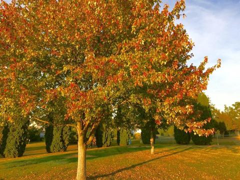 4792 Hyatts Rd, Delaware, OH 43015 photo 26