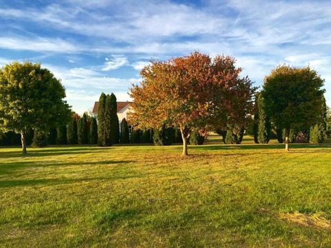 4792 Hyatts Rd, Delaware, OH 43015 photo 27