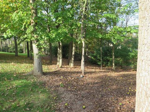 4762 Macallan Ct E, Dublin, OH 43017 photo 3
