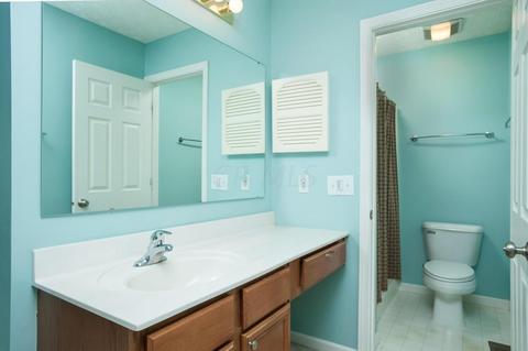 346 Pinecrest Ct, Delaware, OH 43015 photo 22