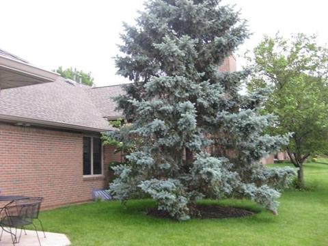 2247 Feather Ln, Marion, OH 43302 photo 3