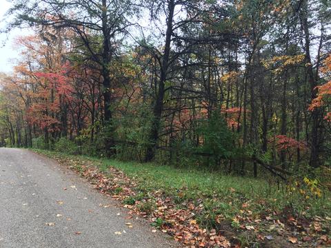 28641 Barton Rd, Logan, OH 43138 photo 5