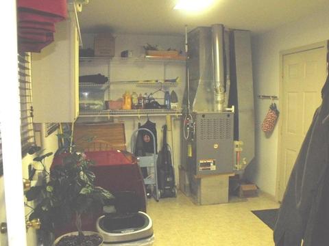 484 Stella Ave, Circleville, OH 43113 photo 6