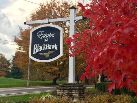 369 Nesting Ct, Galena, OH 43021 photo 5