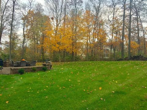 369 Nesting Ct, Galena, OH 43021 photo 7