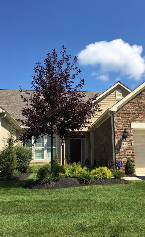 1032 Bluff Vista Dr, Columbus, OH 43235 photo 1