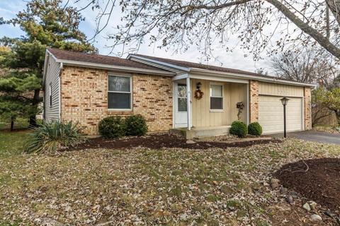 8662 Ripton Dr, Powell, OH 43065 photo 27