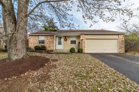 8662 Ripton Dr, Powell, OH 43065 photo 1