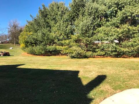 98 E 6th St, Fredericktown, OH 43019 photo 18