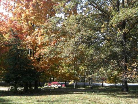 3887 Chapman Rd, Delaware, OH 43015 photo 2