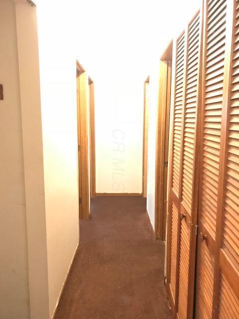 3539 Wyncote Rd, Columbus, OH 43232 photo 6
