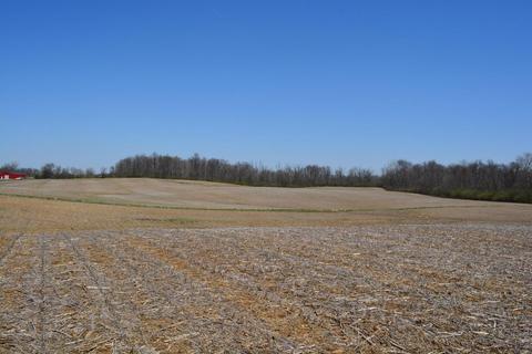 5831 State Route 296, Cable, OH 43009 photo 36