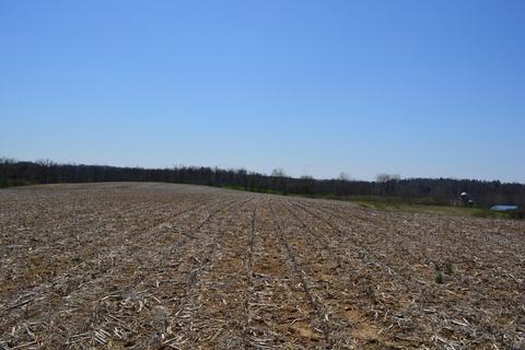 5831 State Route 296, Cable, OH 43009 photo 35