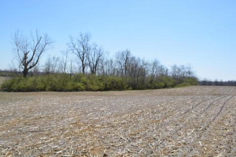 5831 State Route 296, Cable, OH 43009 photo 37
