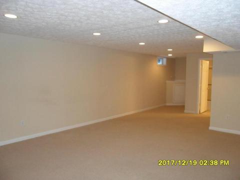 4850 Rays Cir, Dublin, OH 43016 photo 13